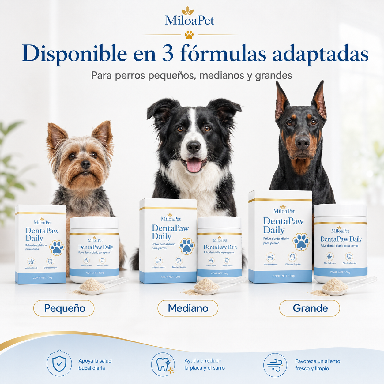 DentaPaw Daily - Polvo dental diario para perros
