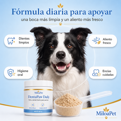 DentaPaw Daily - Polvo dental diario para perros